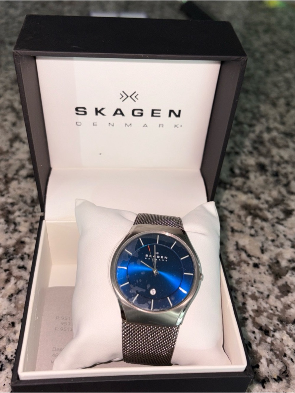 Skagen Men's Blue Dial Silver Mesh Watch